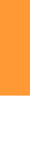 barra decorativa decorativa laranja 3