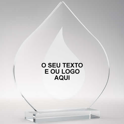 Troféu acrílico personalizado preço - premiar é bom
