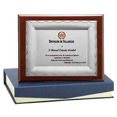 placa-comemorativa-agradecimento-profissional