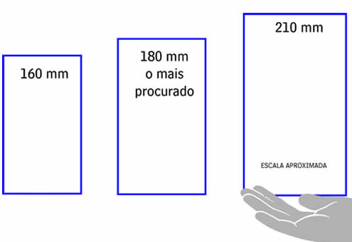 escala-trofeu-com-mao