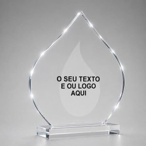 Trofeus-personalizados-acrilico-–-premiar-e-bom
